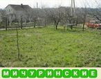 ussr 187