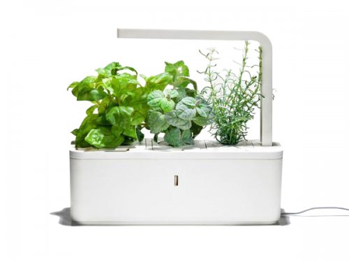 Wit Smart Herb Garden witte achtergrond 500x375