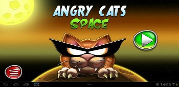 Angry Cats_Space-456789