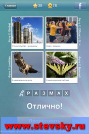 Что за слово подсказки, что за слово ответы