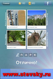 Что за слово подсказки, что за слово ответы