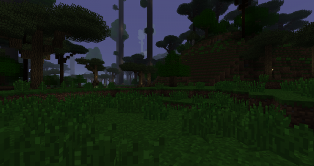 foresthope-photo2