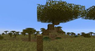 minecraft 1.7.2.-savana-5