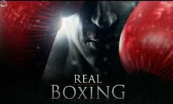 real-boxing