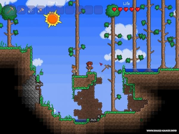 Terraria      -  10