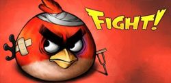 angry birds fight