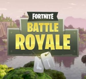 Fortnite Battle Royale 8