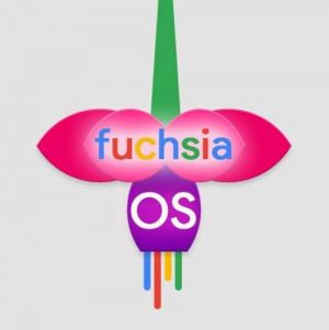 fuchsia os 2