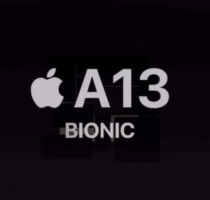 apple a13 bio 1
