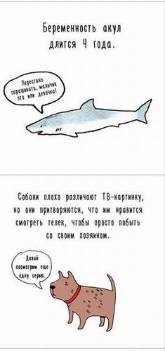 fact