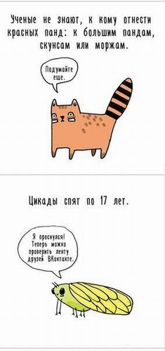 fact