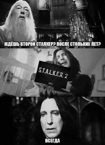 stalker 24